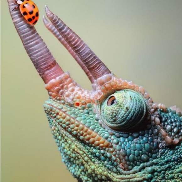 Meet your Posher, Jennifer - Picture 1 of 1